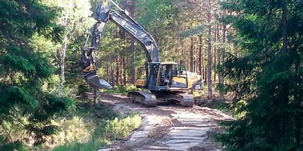 Väg och skogsväg