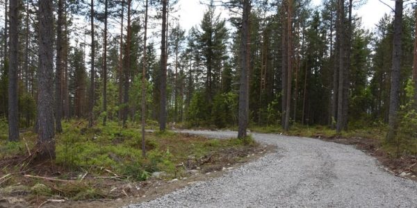 Skogbilväg